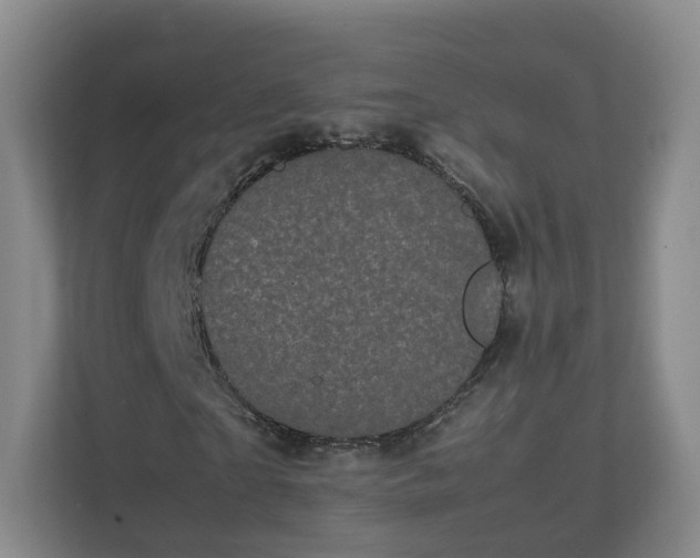 X0000111630865200907241048