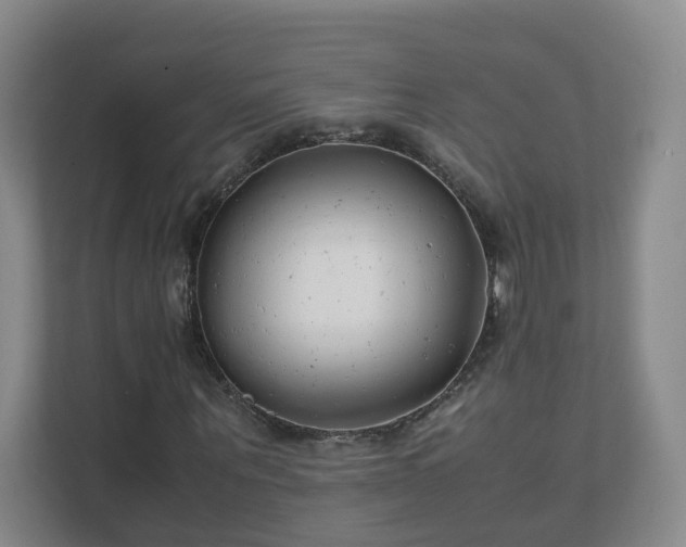 X0000111630867200907241048