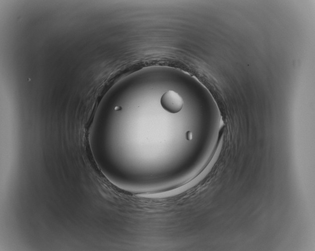 X0000111630868200907241048