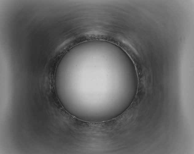 X0000111630870200907241048