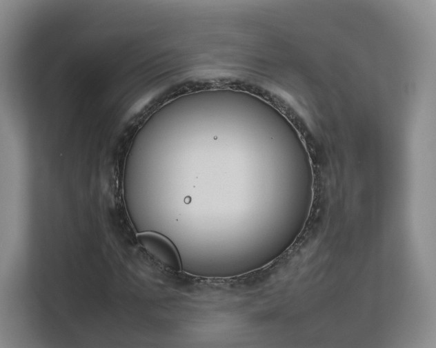 X0000111630871200907241048