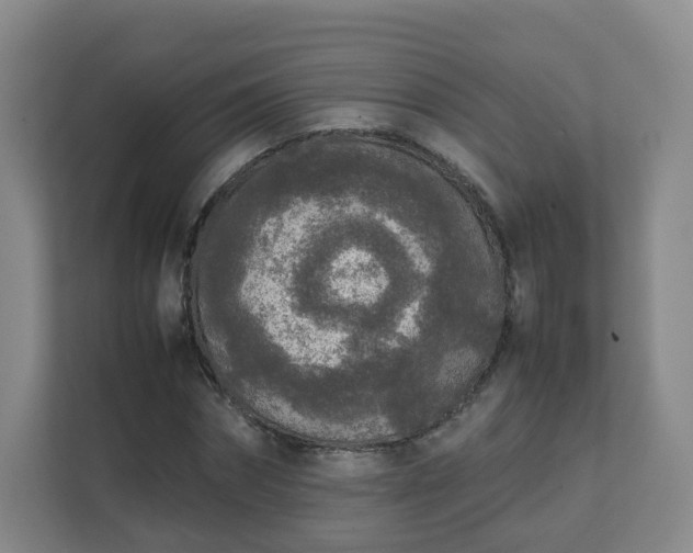 X0000111630874200907241048