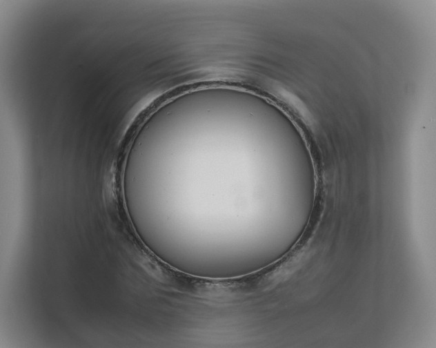 X0000111630875200907241048