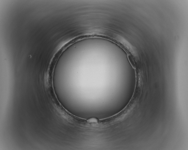 X0000111630876200907241048