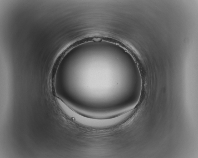 X0000111630877200907241048