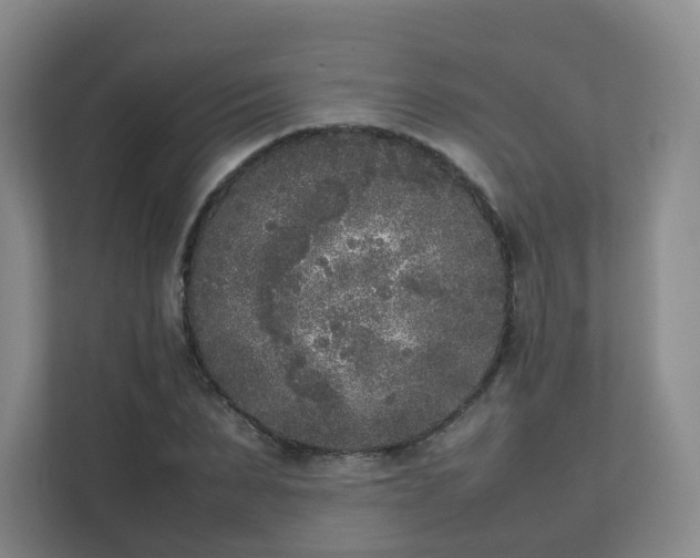 X0000111630879200907241048