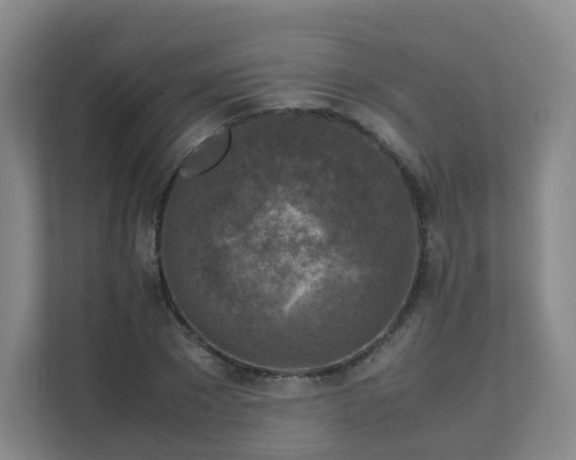 X0000111630881200907241048