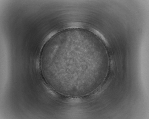 X0000111630882200907241048