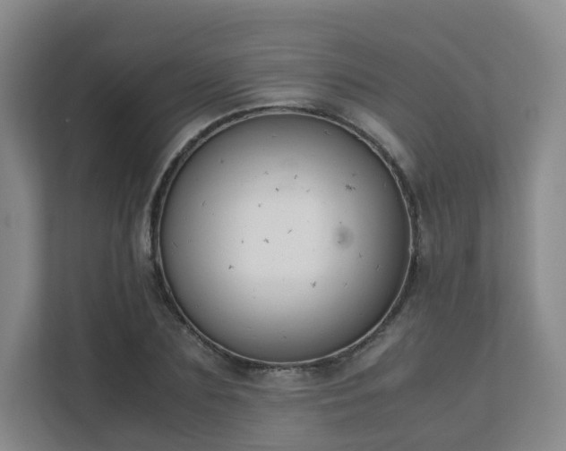 X0000111630883200907241048