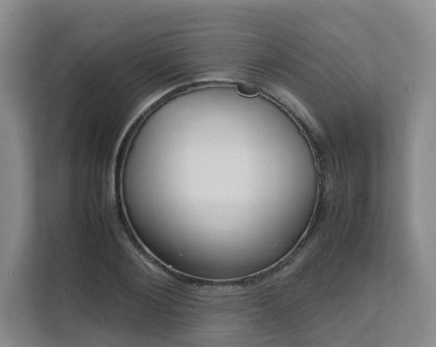 X0000111630884200907241048