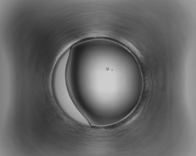 X0000111630885200907241048