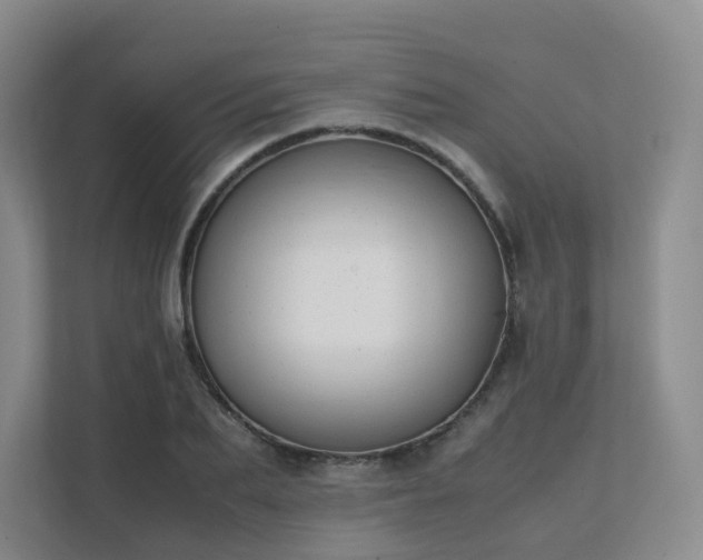 X0000111630887200907241048