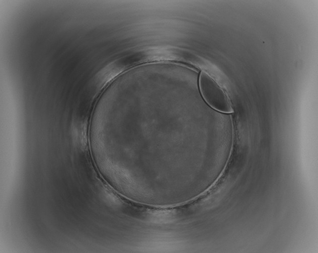 X0000111630889200907241048