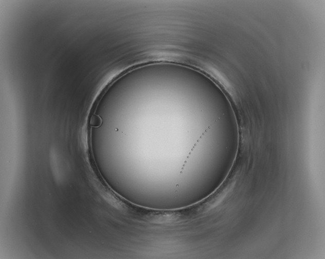 X0000111630891200907241048