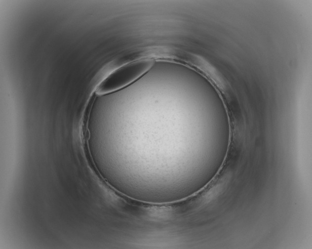 X0000111630893200907241048