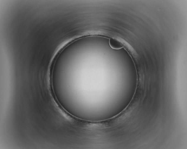 X0000111630894200907241048