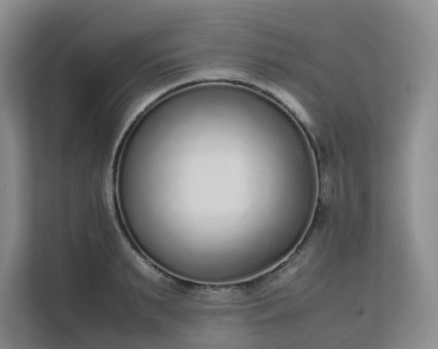 X0000111630895200907241048