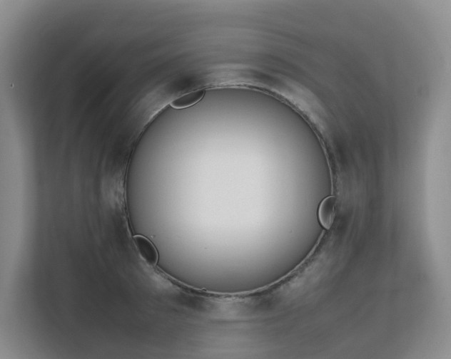 X0000111630897200907241048