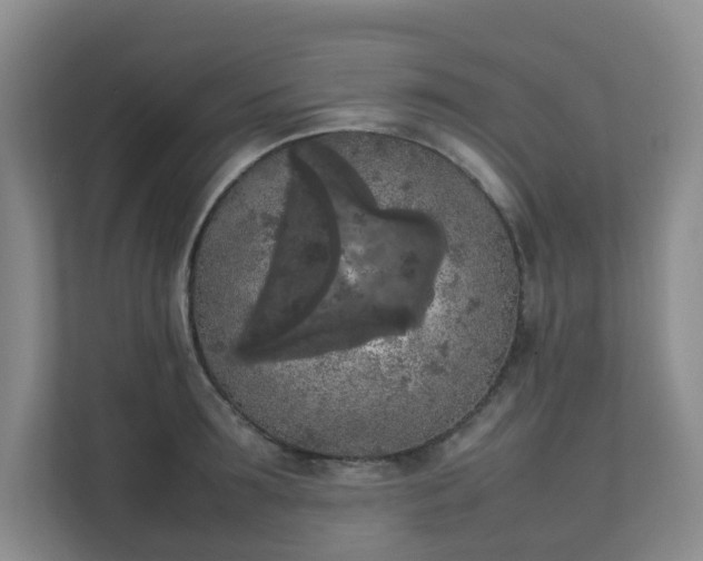 X0000111630899200907241048