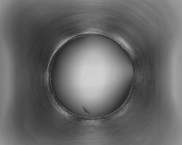 X0000111630900200907241048