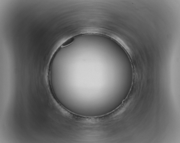 X0000111630901200907241048