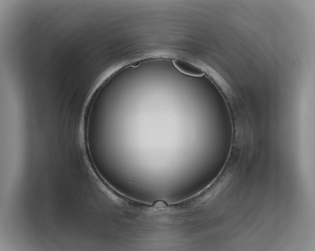 X0000111630902200907241048