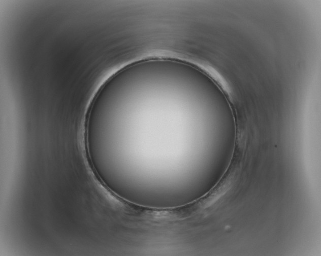 X0000111630903200907241048