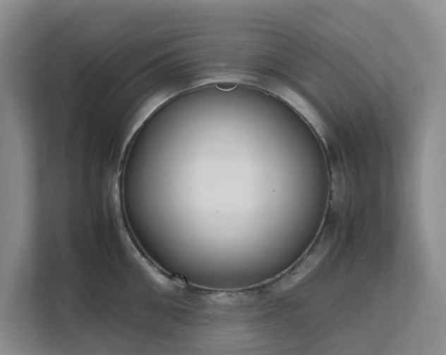 X0000111630906200907241048