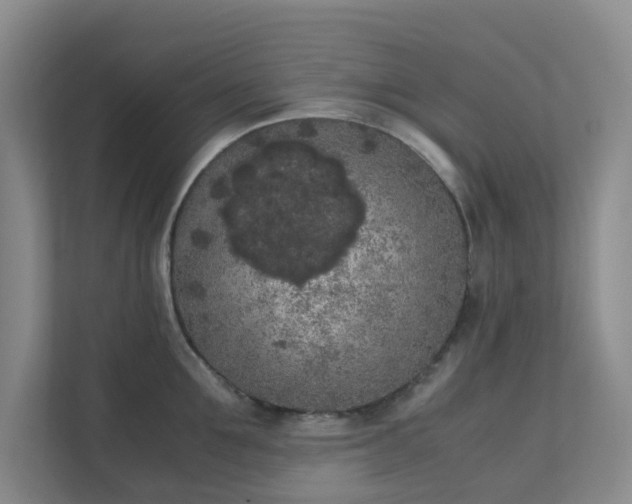 X0000111630907200907241048