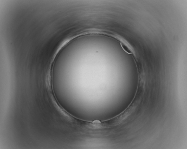 X0000111630911200907241048