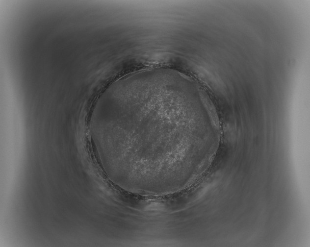 X0000111630913200907241047