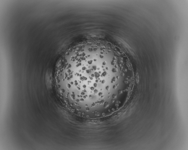 X0000111630915200907241047