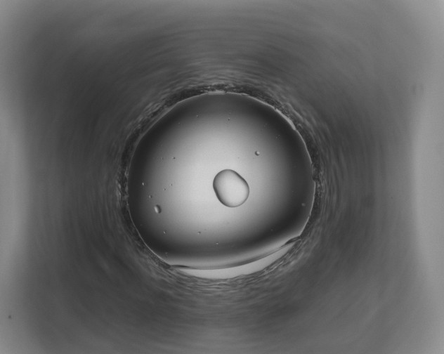 X0000111630916200907241047