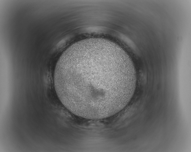 X0000111630918200907241047