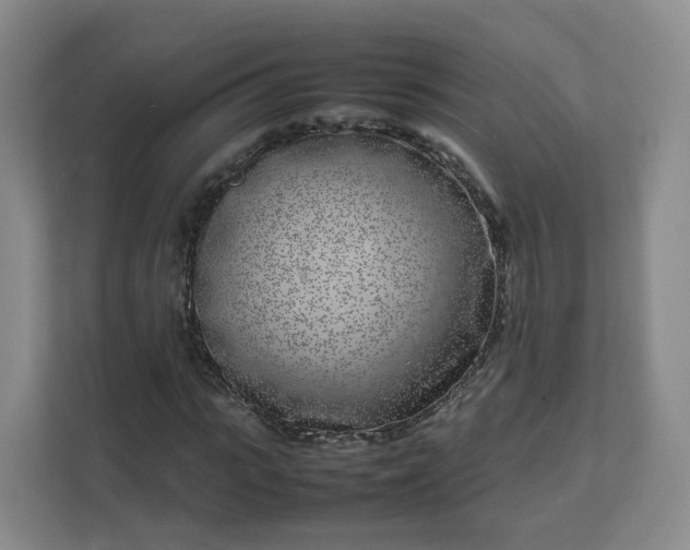 X0000111630919200907241047