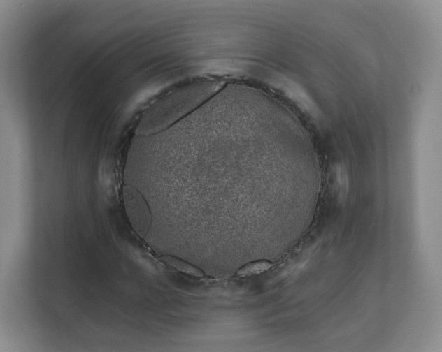 X0000111630920200907241047