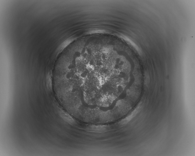 X0000111630921200907241047