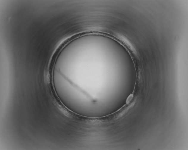 X0000111630924200907241047