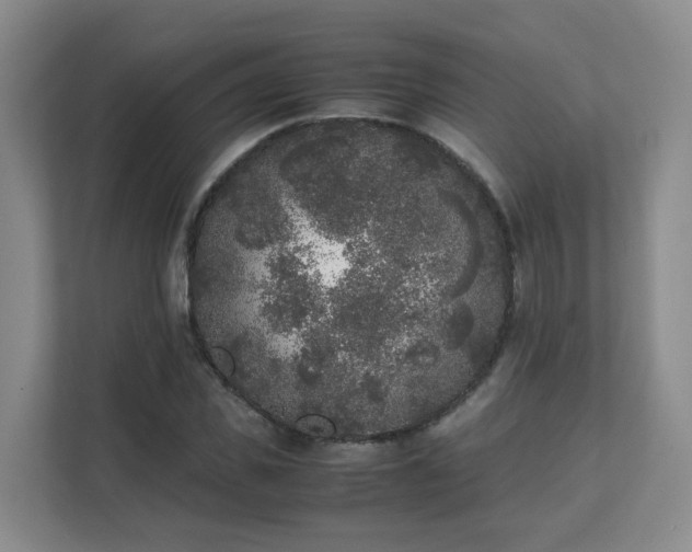 X0000111630925200907241047