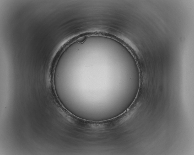 X0000111630927200907241047