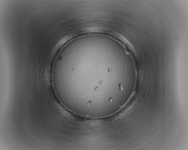 X0000111630930200907241047