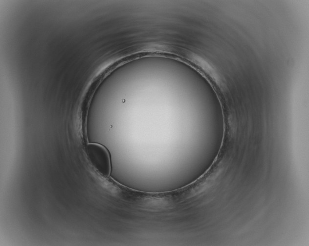 X0000111630931200907241047