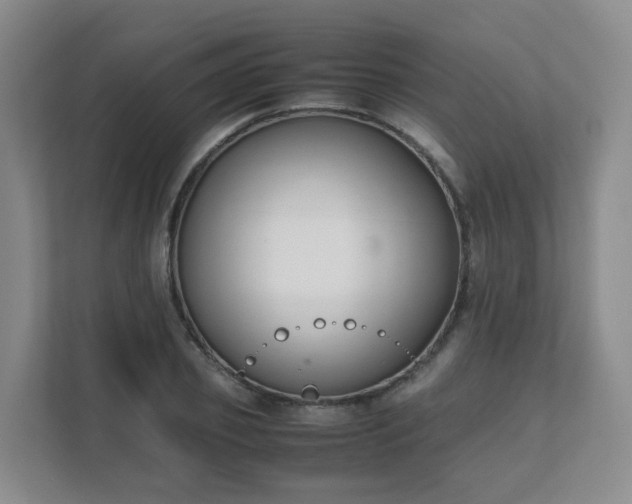 X0000111630933200907241047