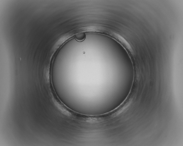 X0000111630938200907241047