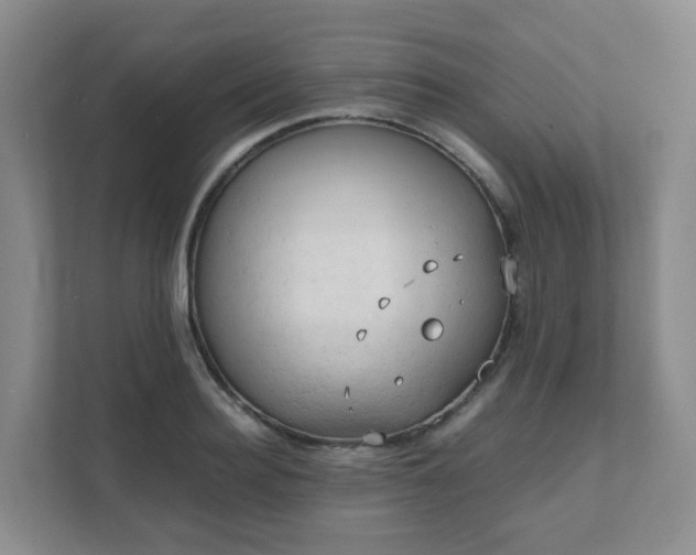 X0000111630940200907241047