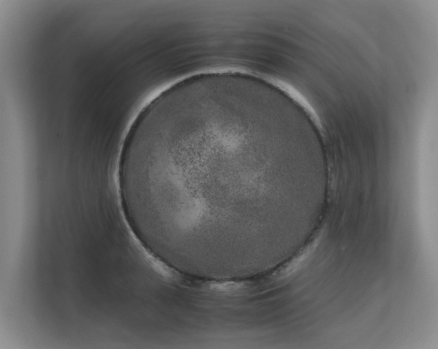 X0000111630943200907241047