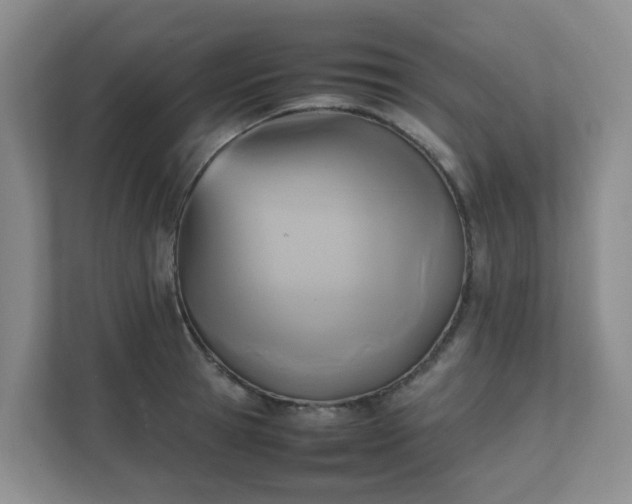 X0000111630945200907241047