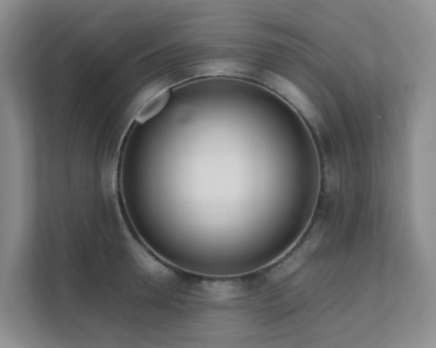 X0000111630946200907241047