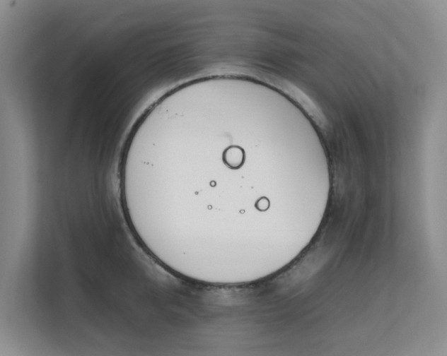 X0000111630950200907241047