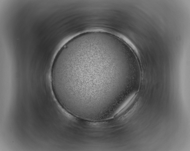 X0000111630951200907241047